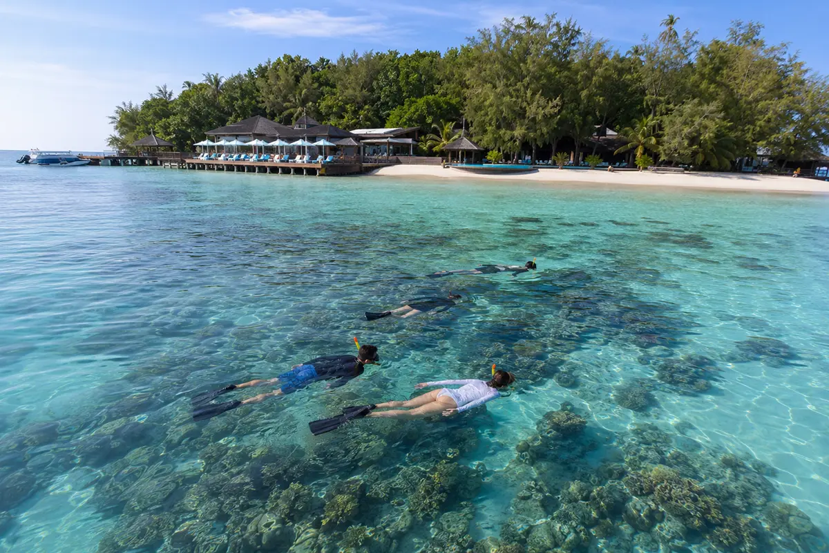 Wisatawan snorkeling di Pulau Sepa saat pagi hari dengan air laut jernih dan area resort di tepi pantai